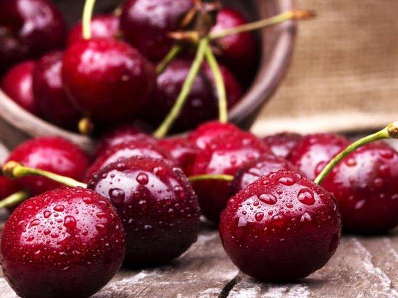 Вишня купить саженцы из питомника в Магнитогорске